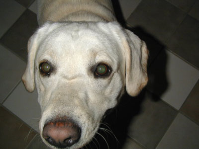 PIC00428